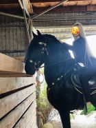 Даша, 8 961 598-41-96 Мария, 28 лет: кунилингус в Волгограде, закажите онлайн