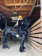 Даша, 8 961 598-41-96 снять госпожу в Волгограде (Мария, тел. 8 961 598-41-96)