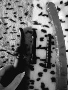 Динара Динара , ню-фото