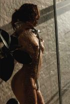 Дикий Василёк, 8 903 019-42-95