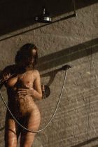 Дикий Василёк, 8 903 019-42-95